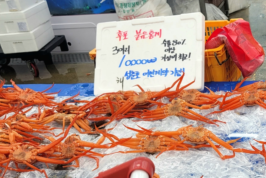 후포 식자재마트 이미지