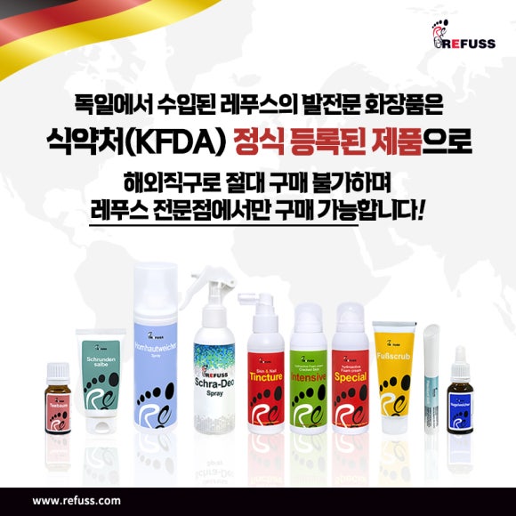 레푸스전주 이미지