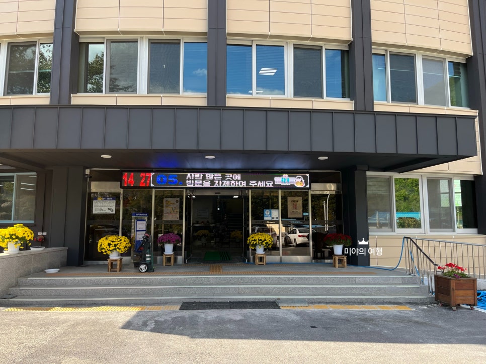 돼지분식 이미지