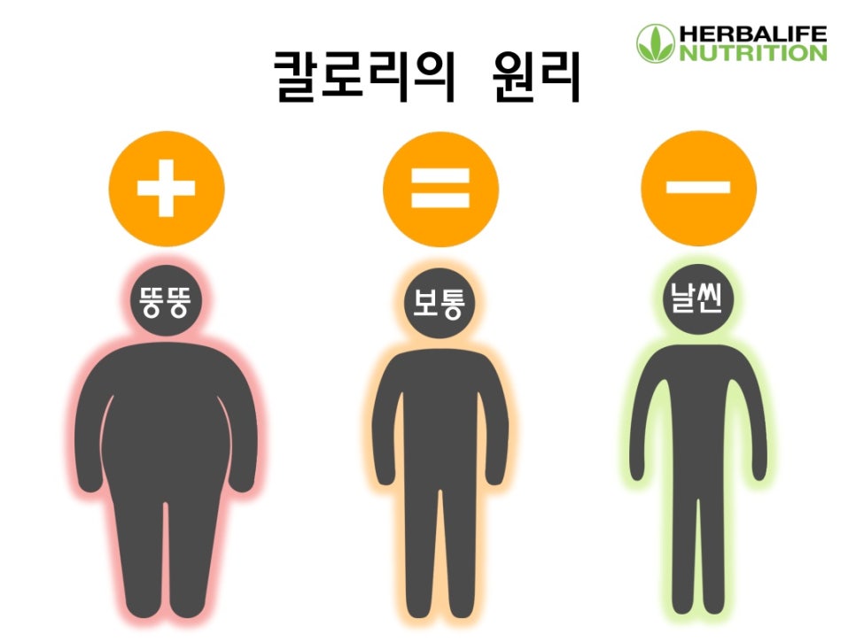 나르샤점핑 이미지