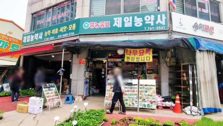 흥농종묘 이미지