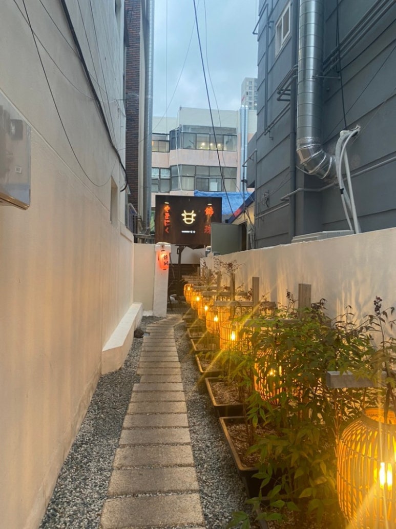 킨슈 이미지