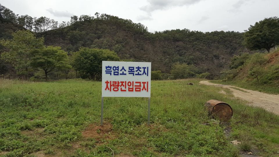 청하웰빙식품 이미지