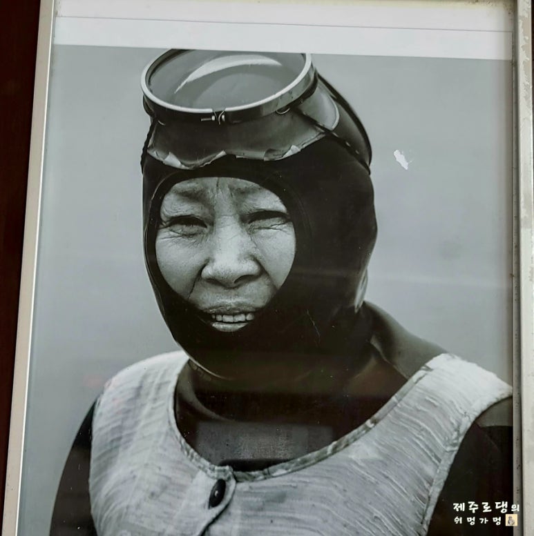 보말삼춘 이미지