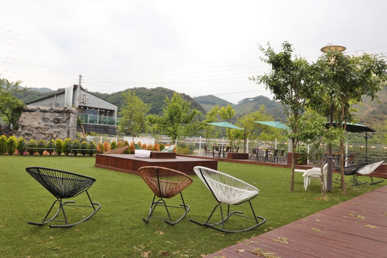 원조 춘천닭갈비 막국수 이미지
