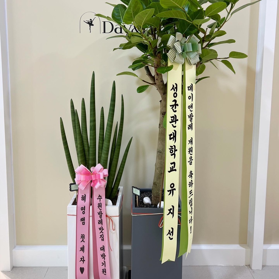 데이앤발레학원 이미지