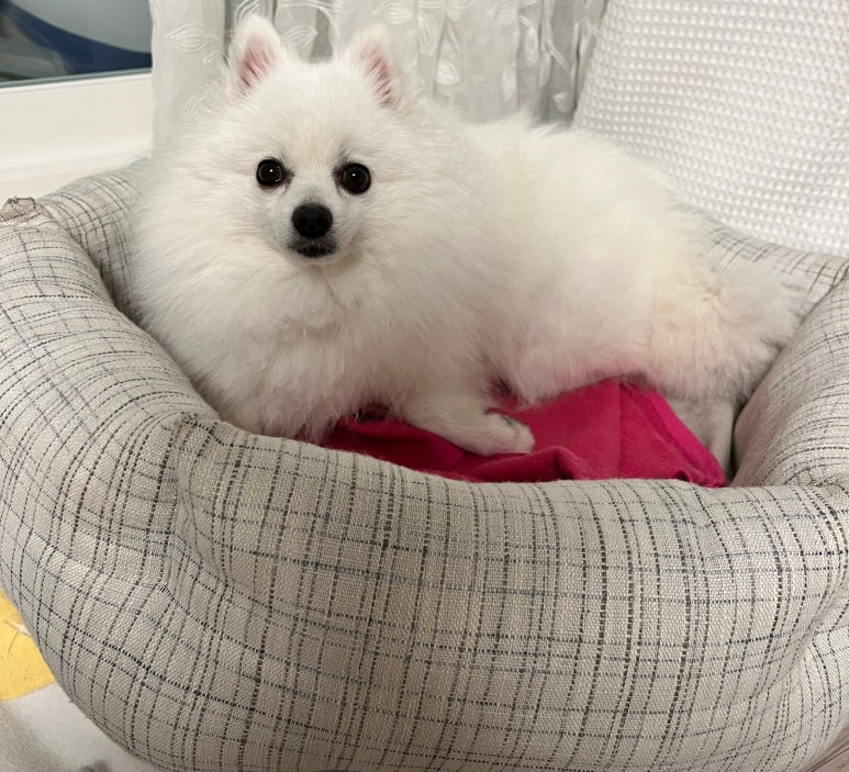 램블러커피 이미지