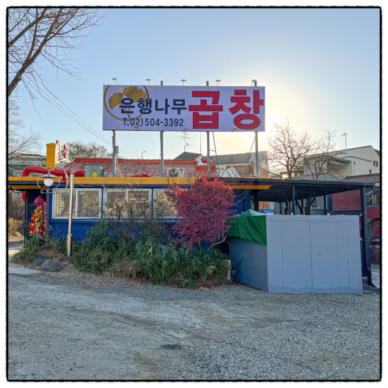 은행나무곱창 이미지