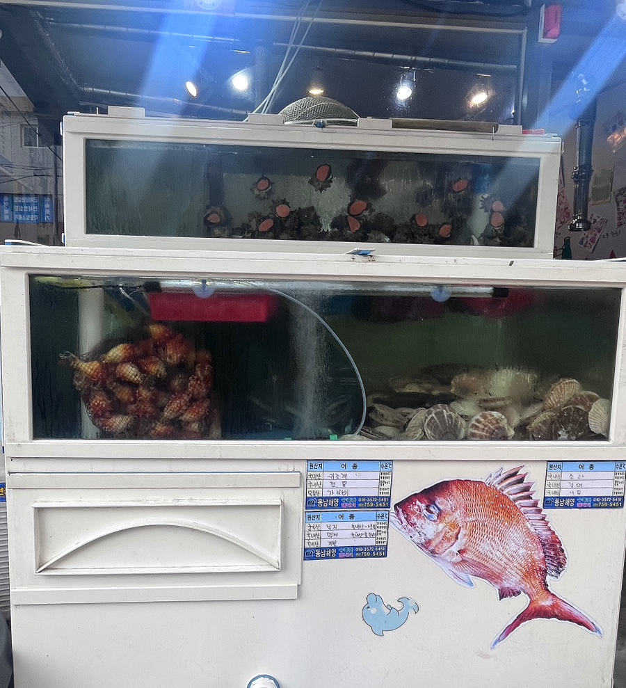 돼지 품은 해녀 이미지