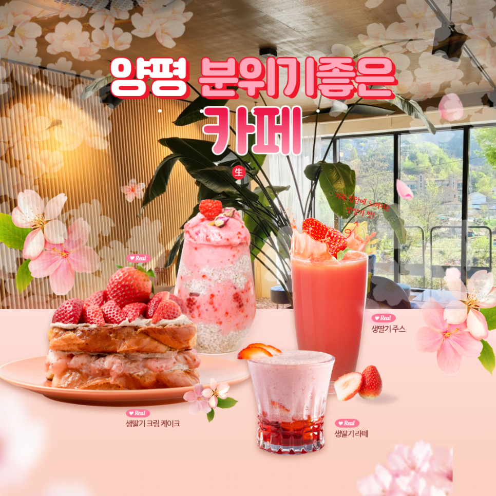 살롱드본 이미지