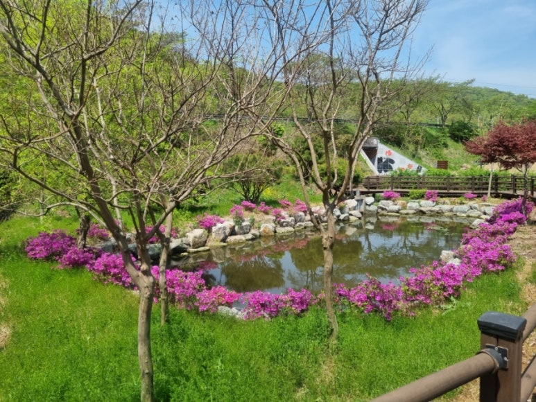 서남민물고기 이미지