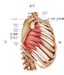 바디템플휘트니스 이미지