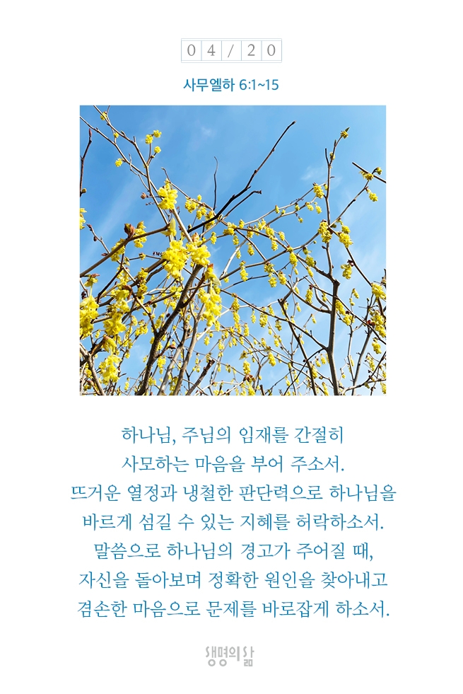 김집사 이미지