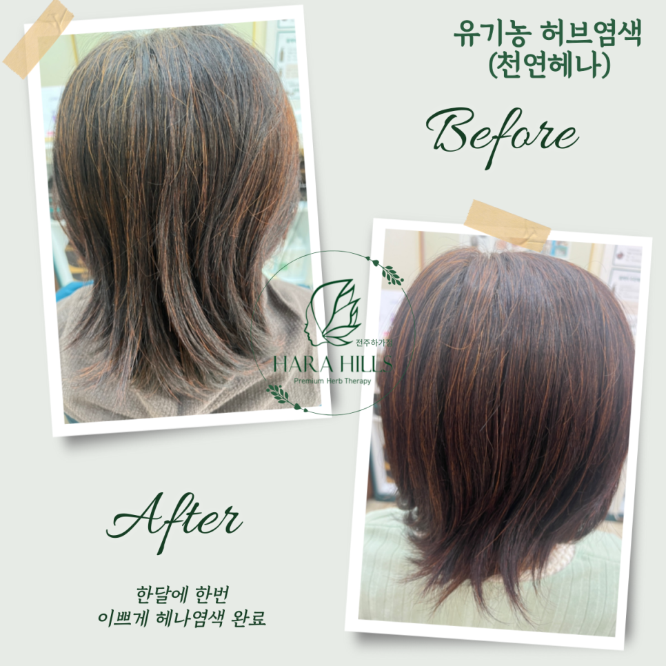 하라힐즈하가점 이미지