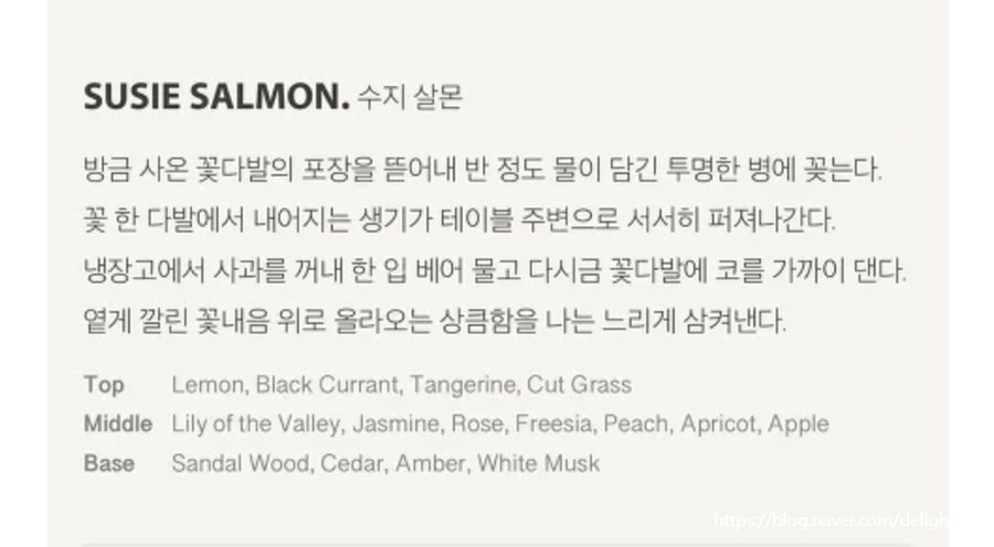 살몬Salmon 이미지