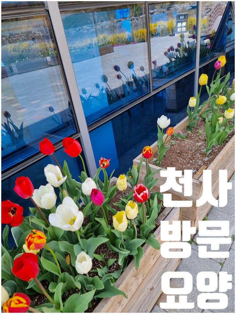 진서식품 이미지