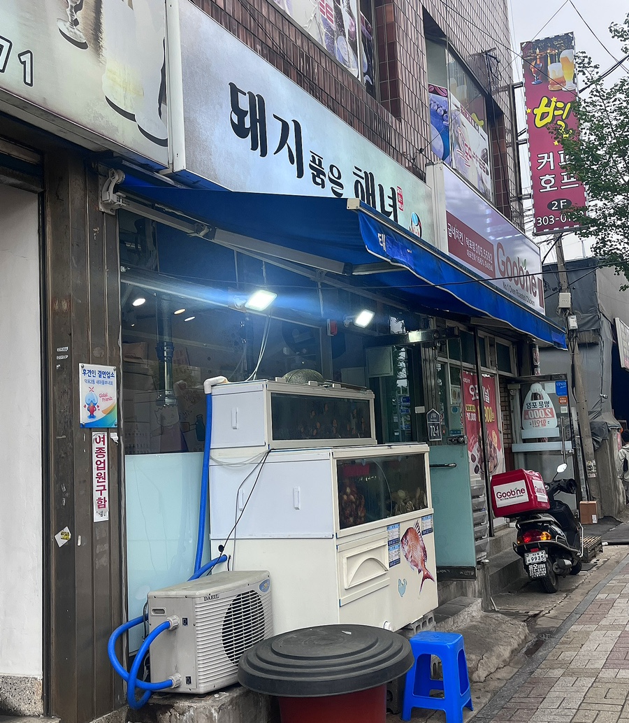 돼지 품은 해녀 이미지
