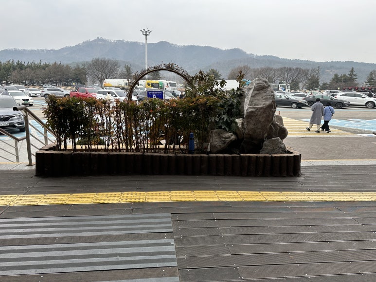 신바람난찐빵집손만두 이미지