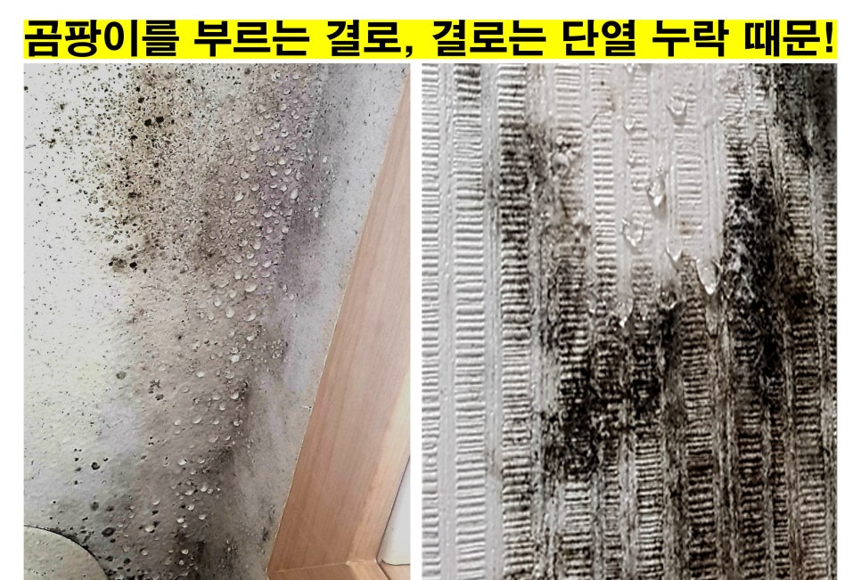 세기광고페인트 이미지