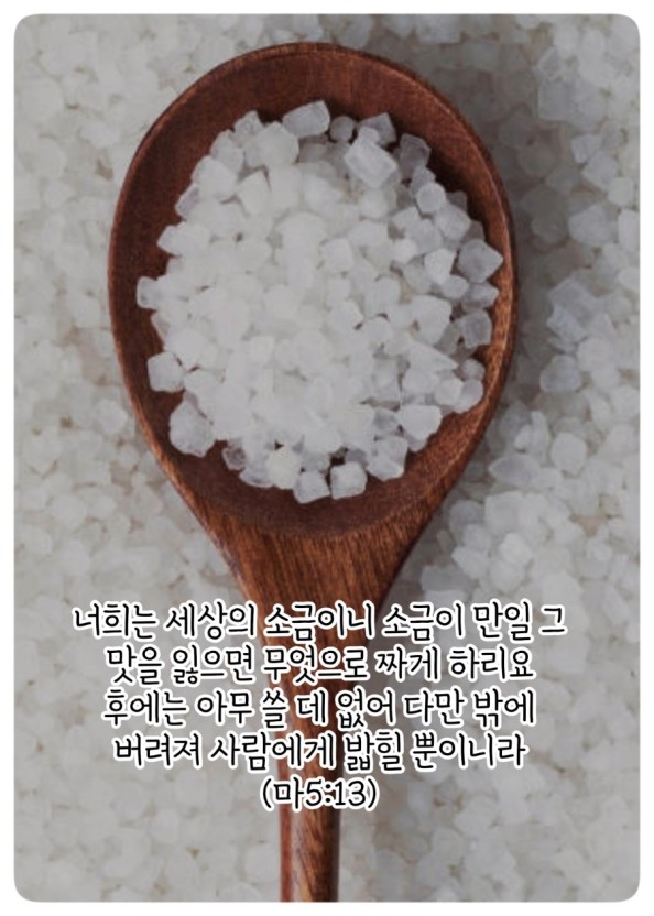 소금과 빛 이미지