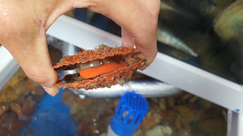 해신수산포차 이미지