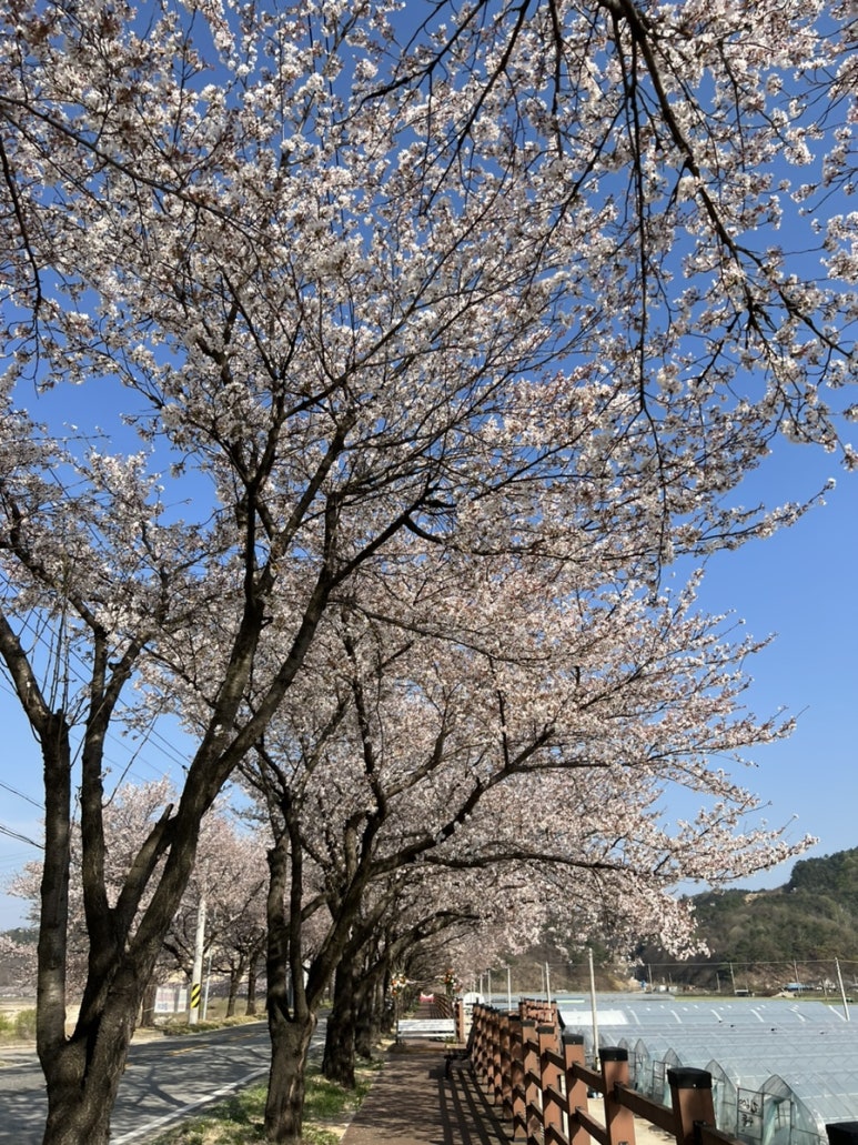 카페봄봄김천부곡 이미지