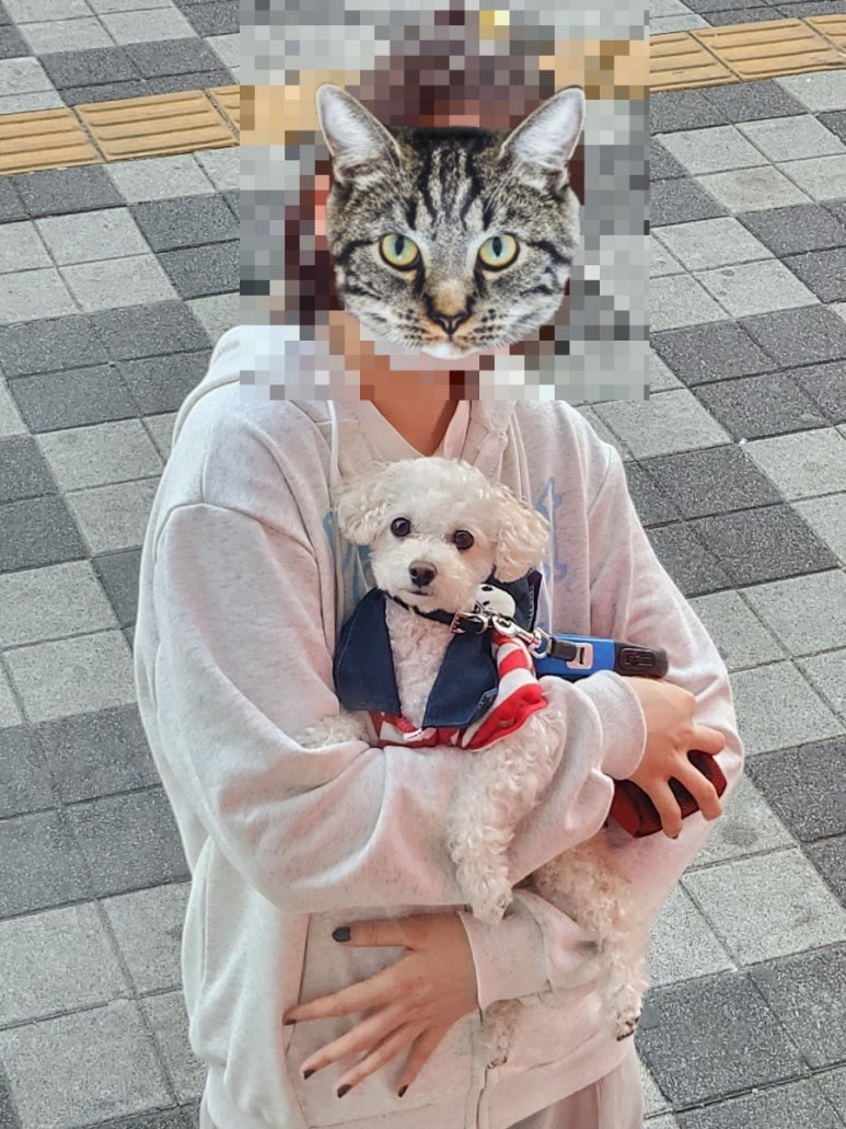 피자헛부산진역 이미지