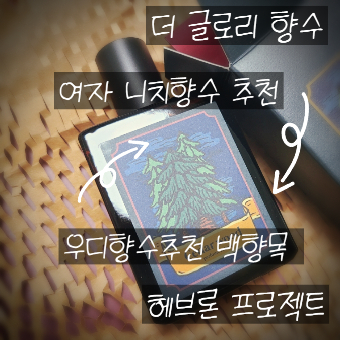 헤브론프로젝트 이미지