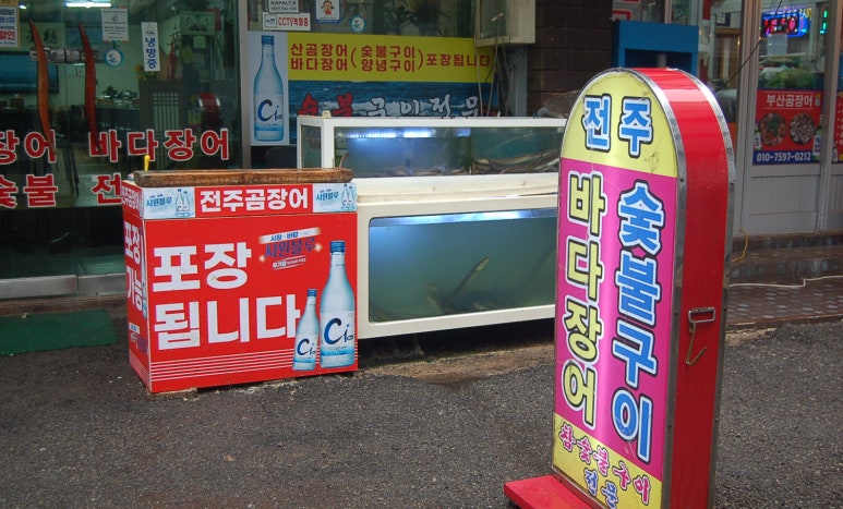 전주곰장어 이미지