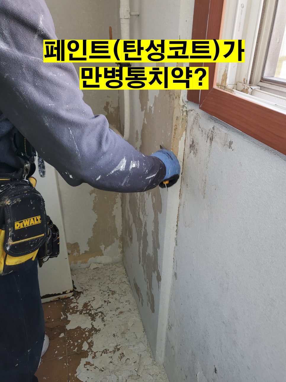 세기광고페인트 이미지