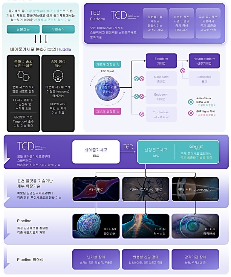 (주) 메딕스셀 이미지