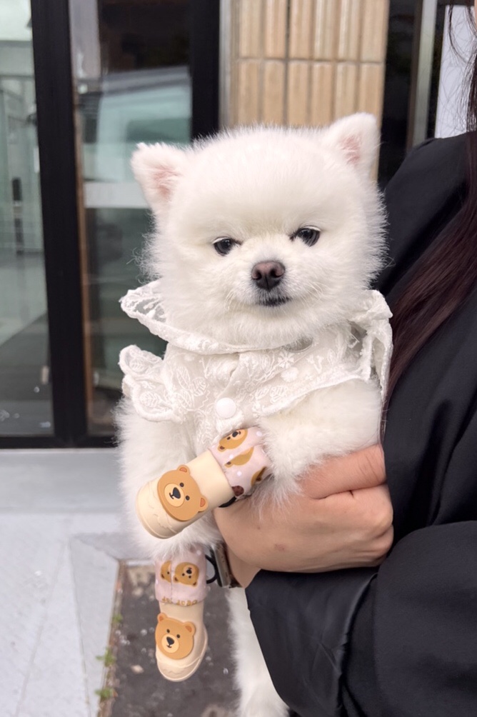 스타일미야 이미지