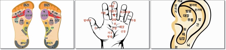 발지압점 귀지압점 손바닥 지압점 위치와 반사요법 : 네이버 블로그