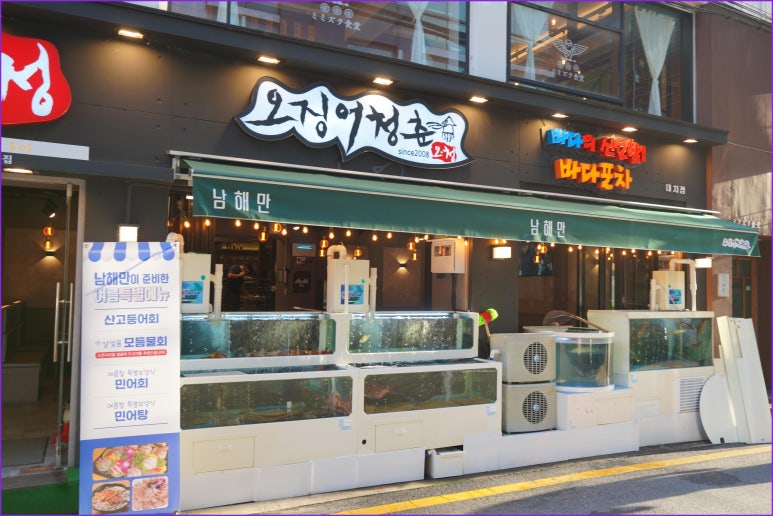 오징어청춘 이미지