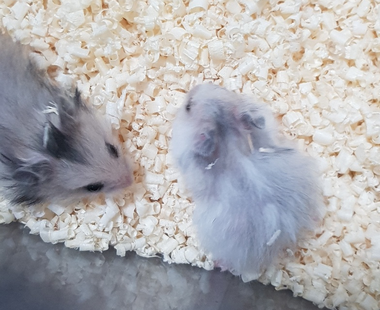 (주)모프 이미지