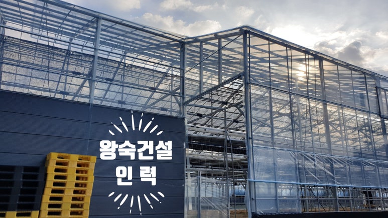 천호인력 이미지