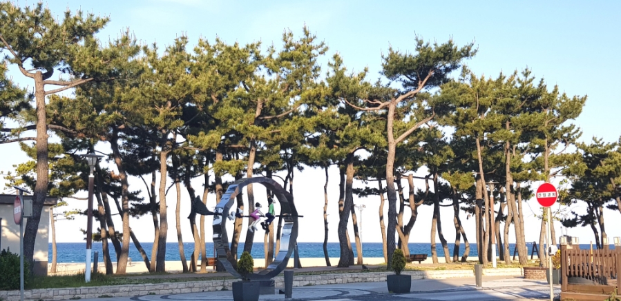 낙산털보치킨 이미지