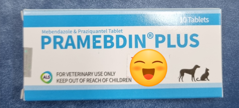프라메디 이미지