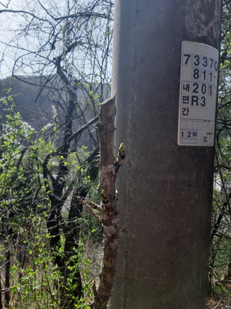 석화산농장 이미지