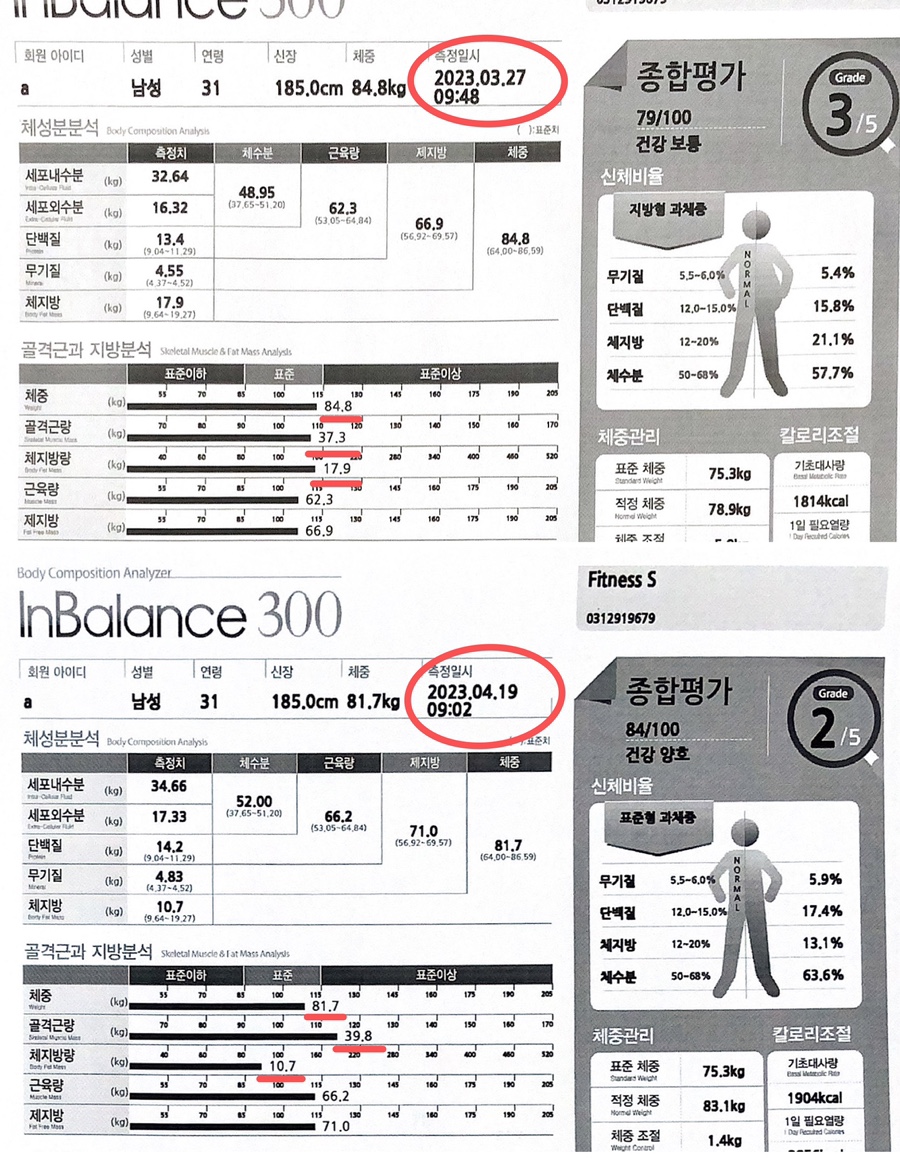 재키피티 이미지