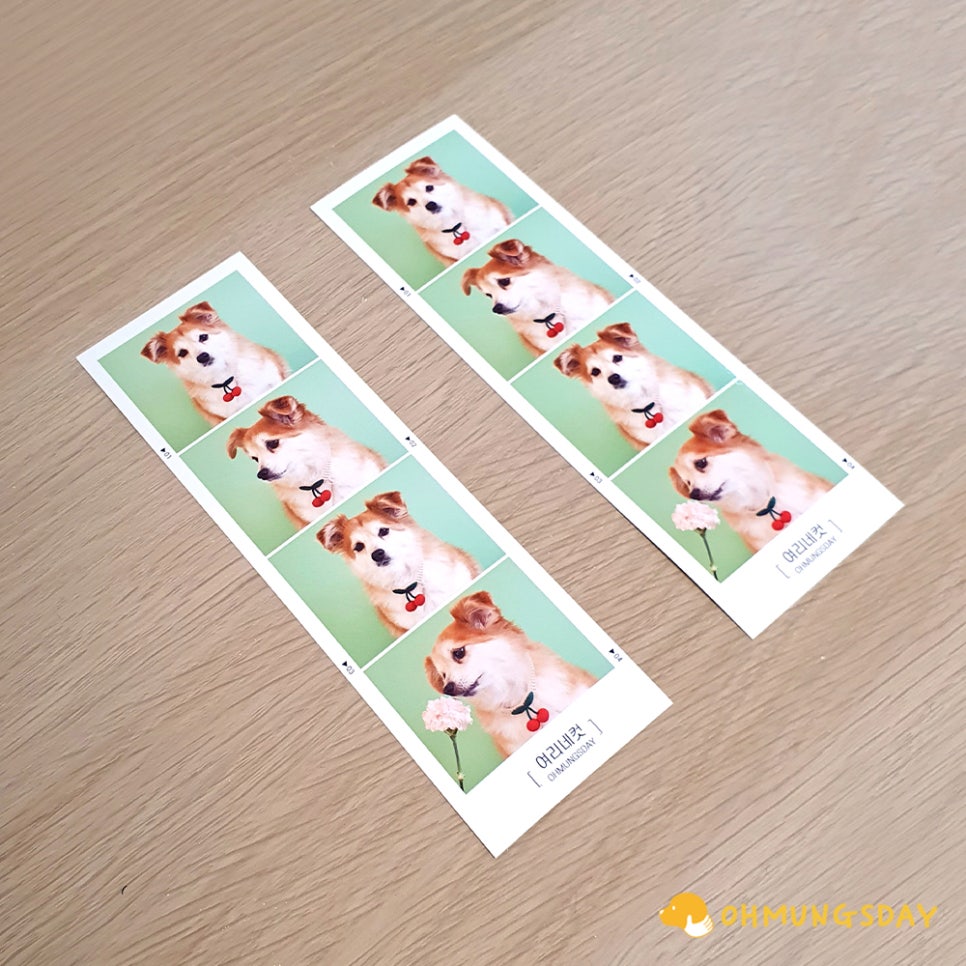 멍냥굿즈 이미지