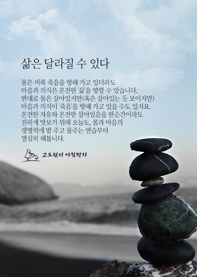 인생 샌드위치 이미지