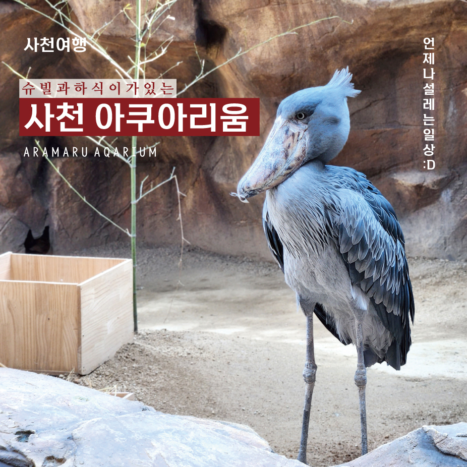 아라여행 이미지