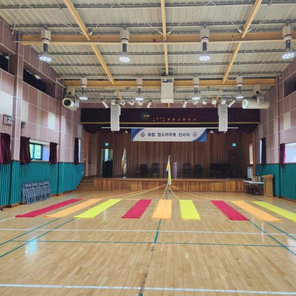 스카우트 그루터기 이미지