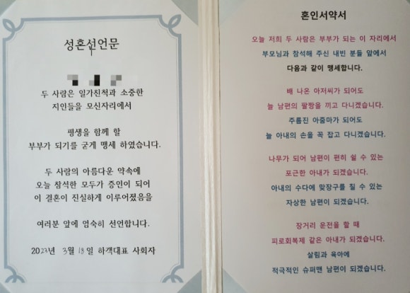 브라이덜베가 이미지