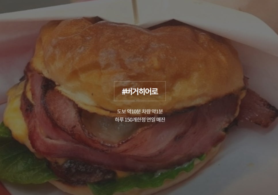 와서뭐하니 이미지