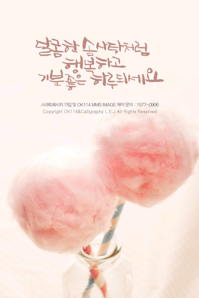 금빛칼라 이미지