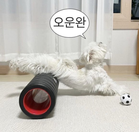 카페멜로우 이미지