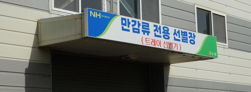 달달한 인생 이미지