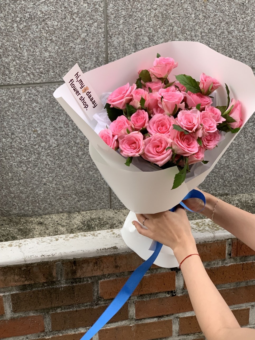 하이마이데이 이미지